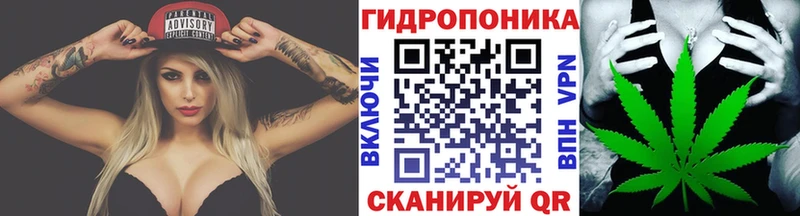 как найти Южно-Сухокумск МАРИХУАНА ГИДРОПОН